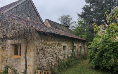 Démoussage et entretien de votre toiture